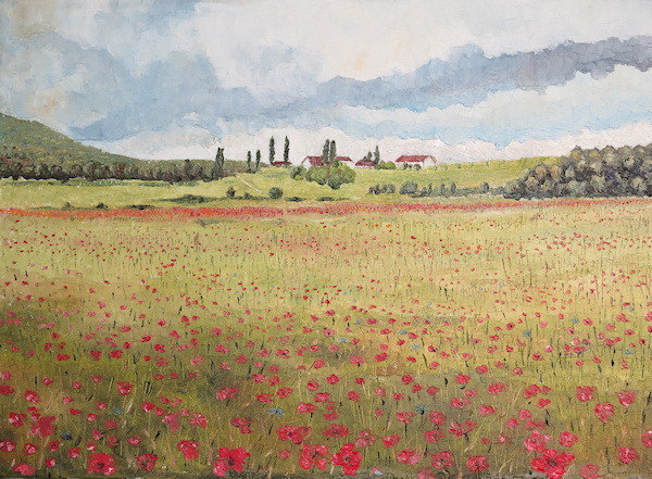 Mohnblumenfeld